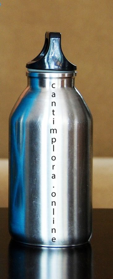 Botella de acero inoxidable para niños personalizable

